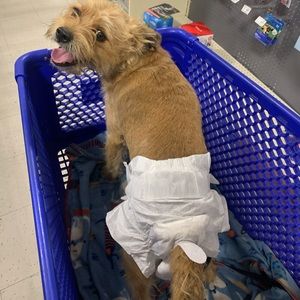 Meet your Posher, Jennyd